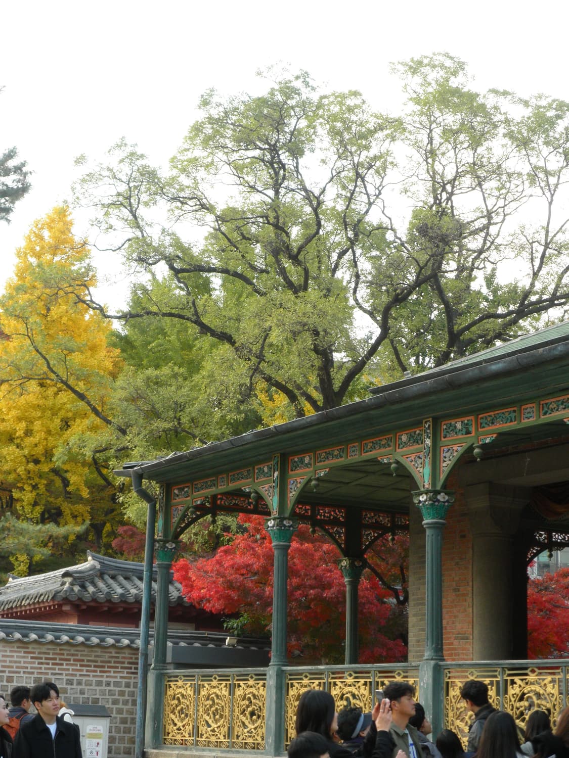 올림푸스 뮤 7050 핑크 빈티지 디카 상품이미지8