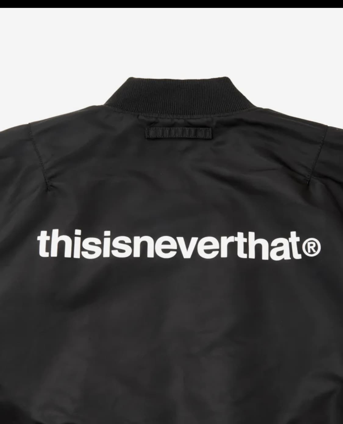 디스이즈댓 X 알파인더스토리 블루종 MA-1 상품이미지5