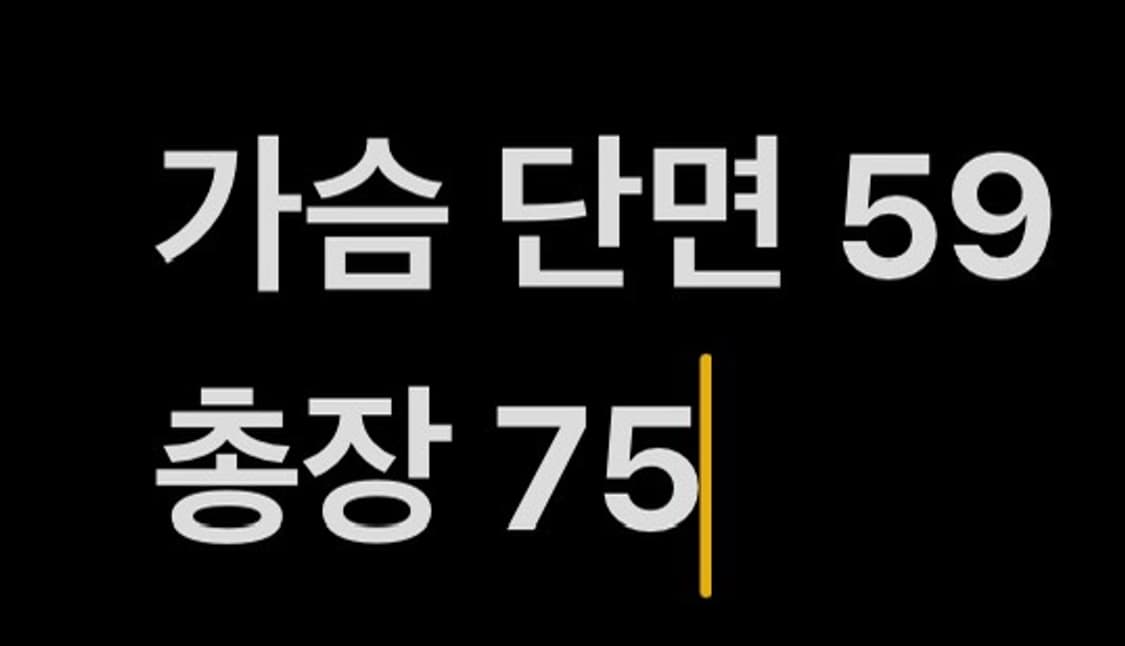 [ 정품/XL ] 스톤아일랜드 맨투맨 b8 상품이미지7
