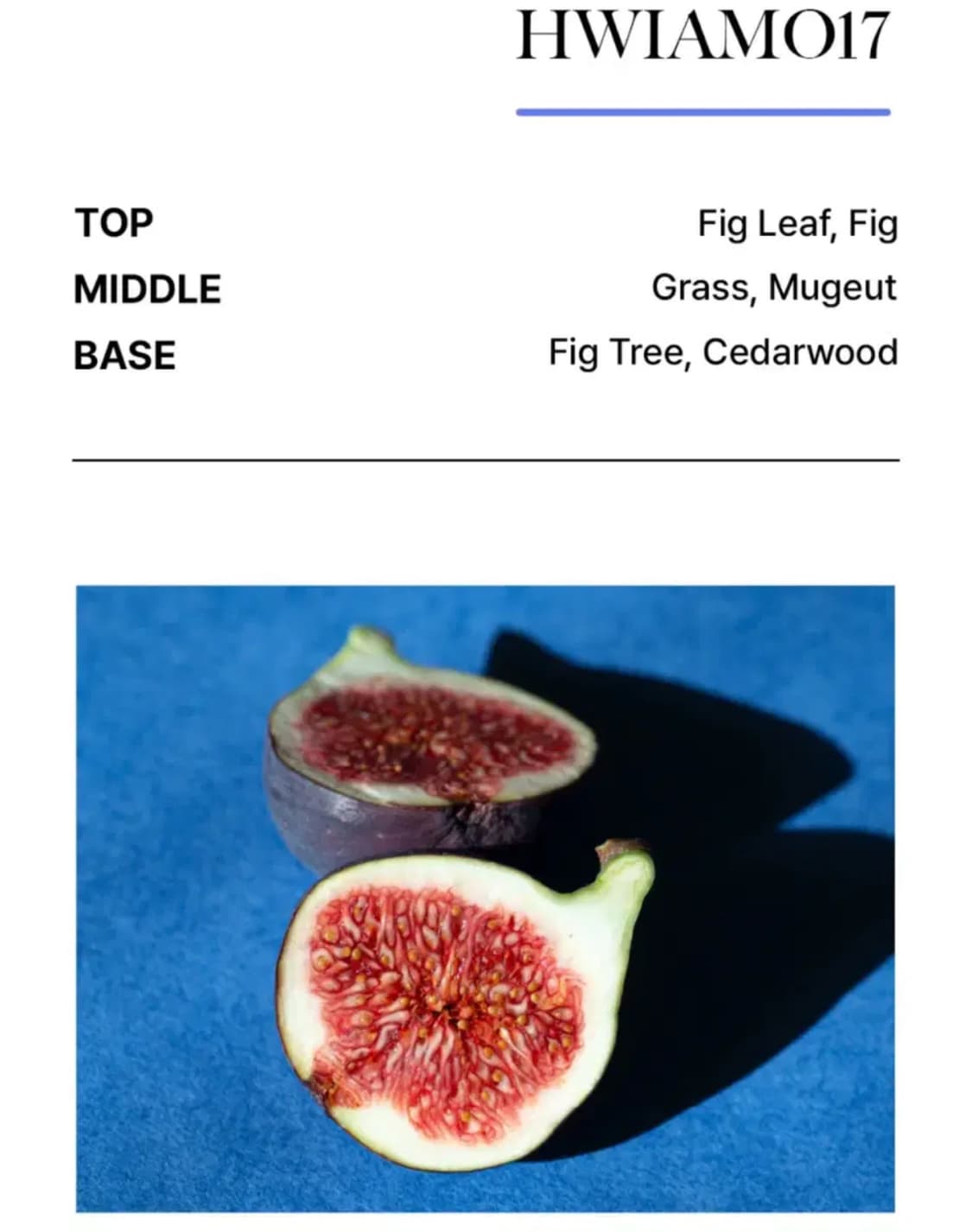 [비비앙] 휘아모17 오 드 퍼퓸 EDP 10ml 상품이미지3