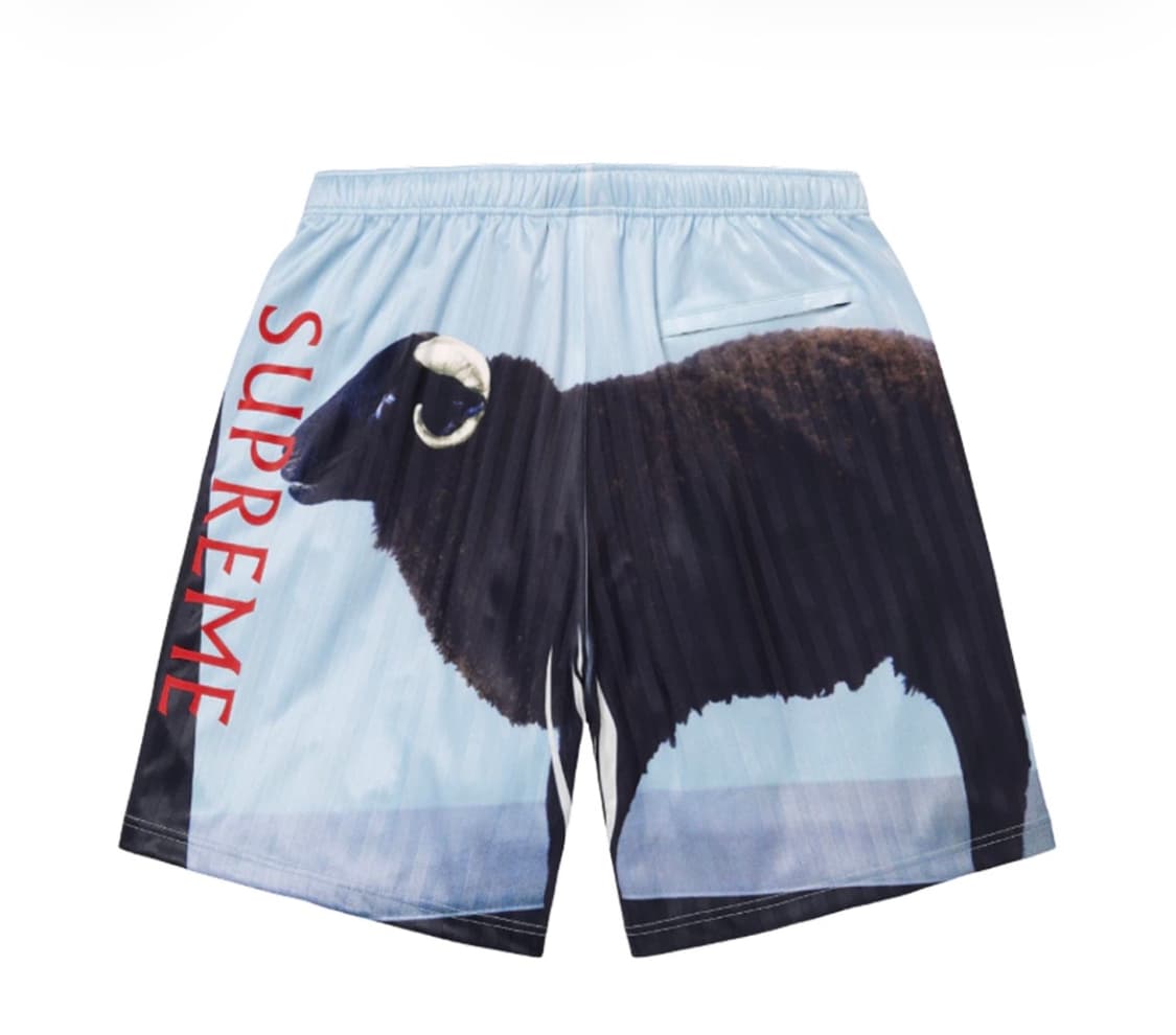슈프림 데미안허스트 쇼츠 S 반바지 상품이미지2