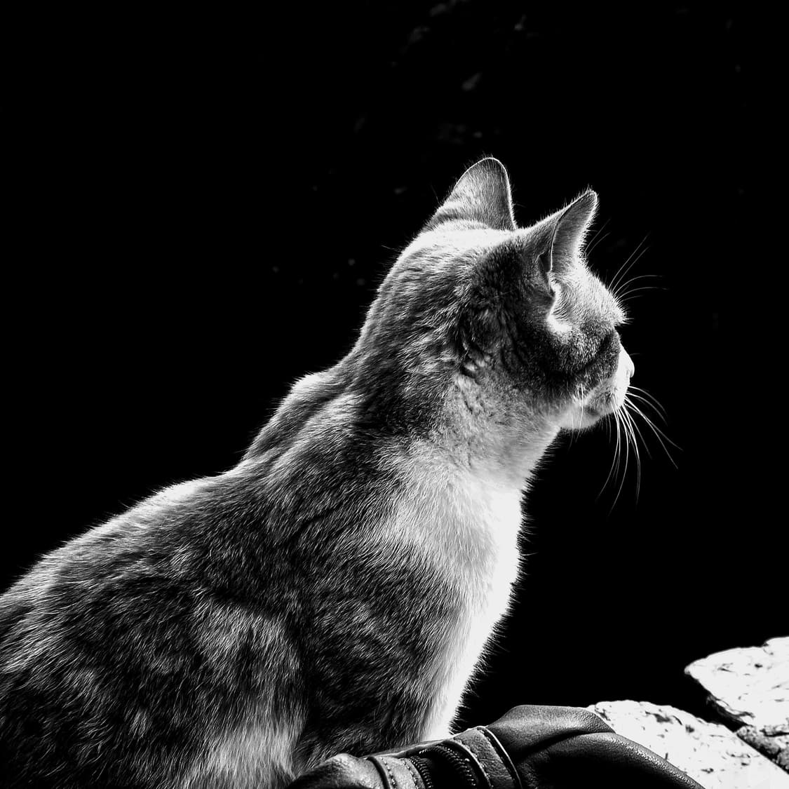 작례O 신품급 초망원 하이엔드 올림푸스 sp-600uz 디지털카메라 빈티 상품이미지6