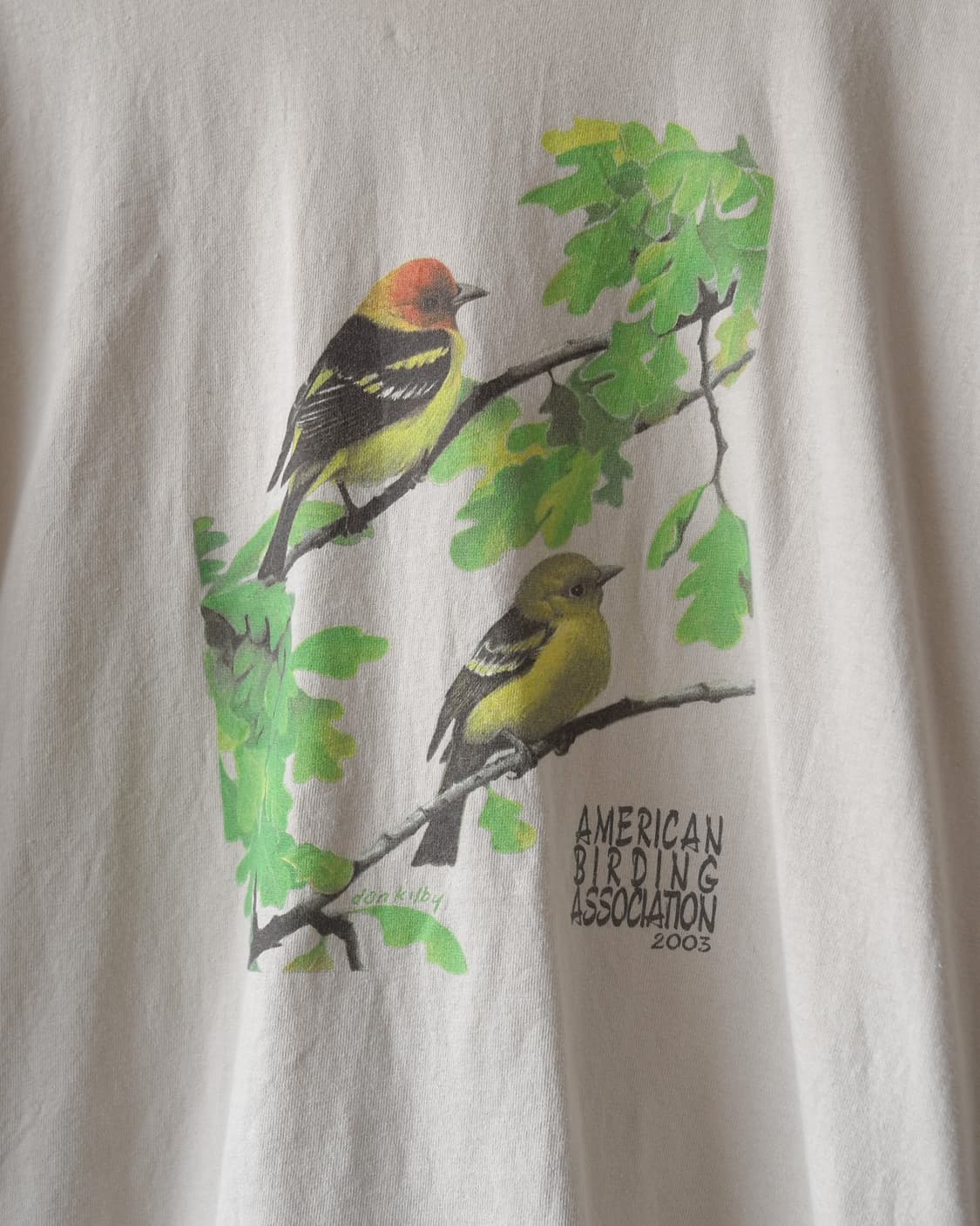 00s Gildan 상품이미지4