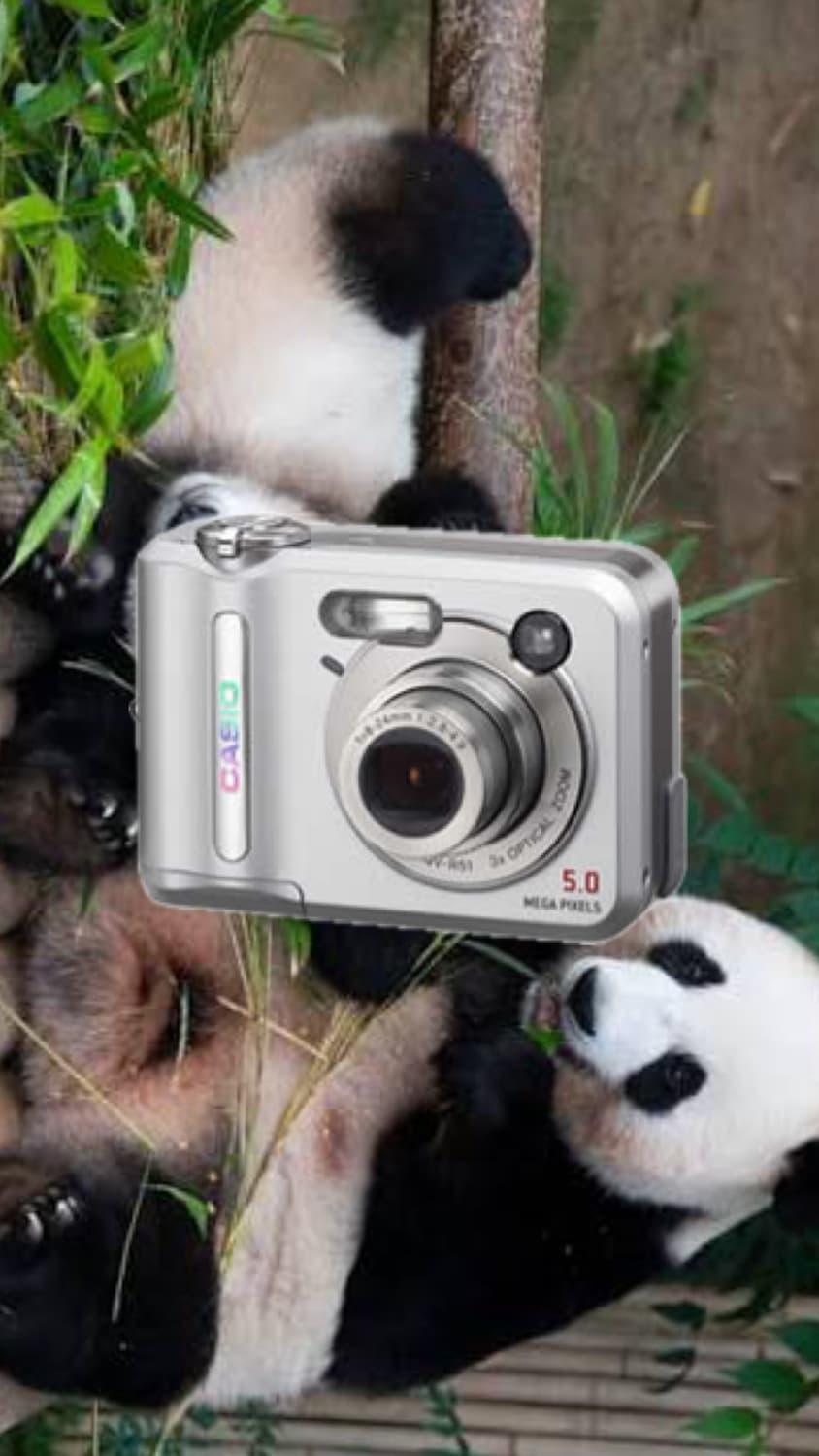 카시오 QV-R51 상품이미지1