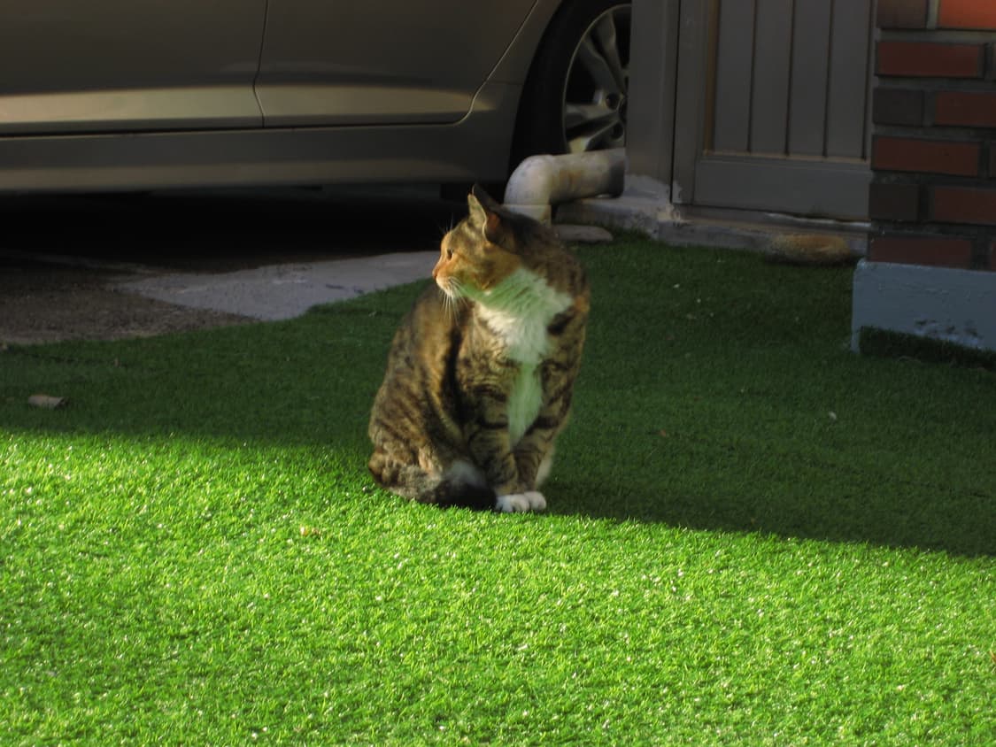 ixus 65 ixy 80 익서스 60 판매합니다! 상품이미지8