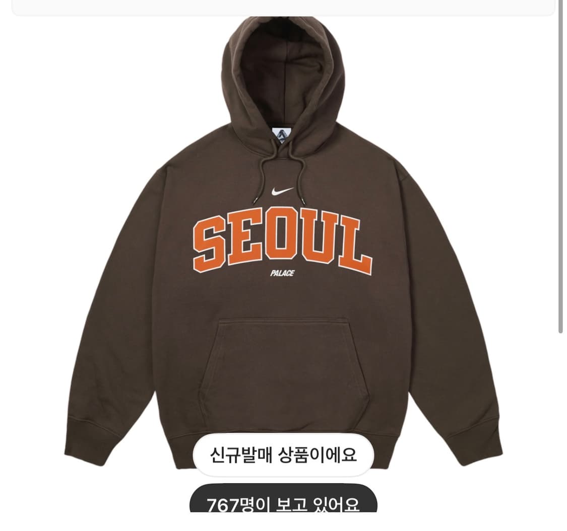 나이키 팔라스 서울 후드티 브라운 xxl 상품이미지1