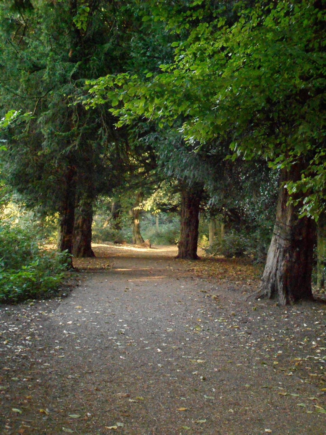 (색감/감성) 니콘 쿨픽스 Nikon Coolpix S3100 상품이미지7