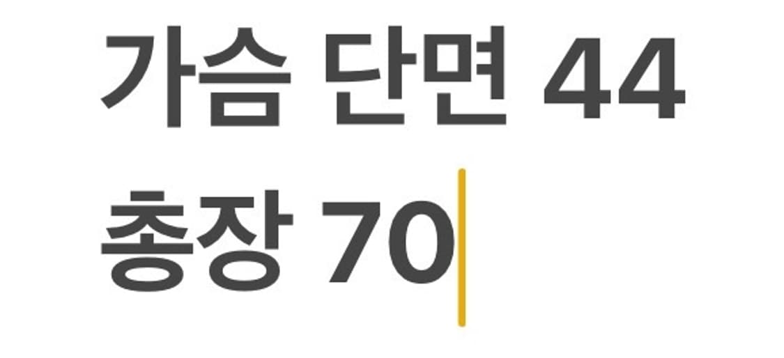 [정품/4] 폴로 랄프로렌 네이비 금장 블레이저 b17 상품이미지7