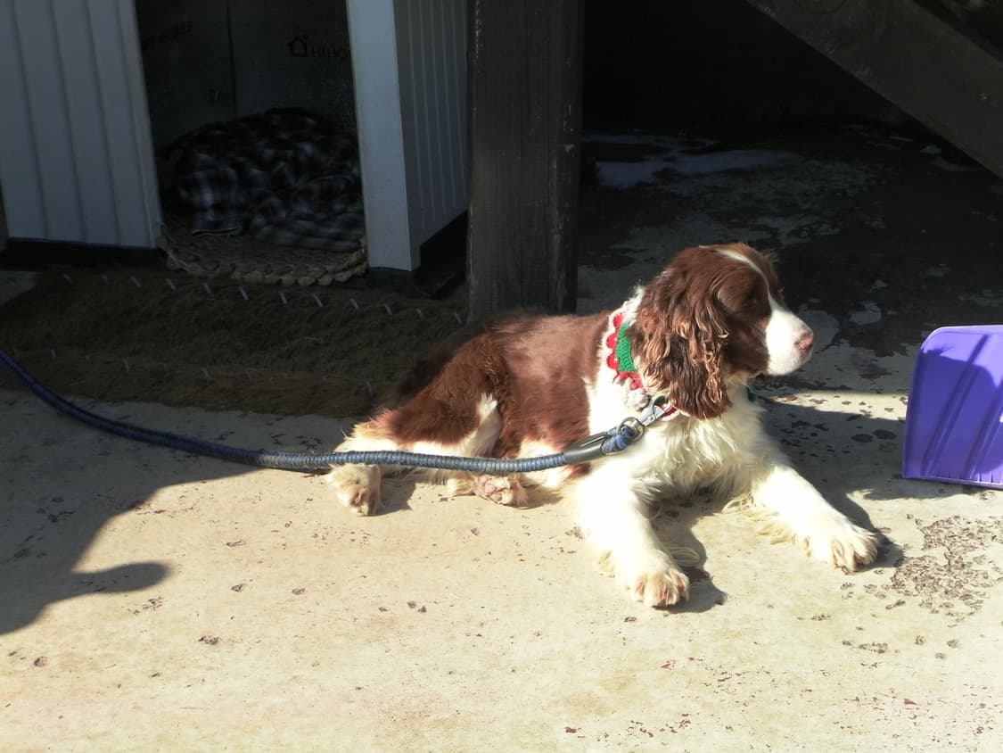 산요 작티 Sanyo Xacti VPC-GH3EX 캠코더 상품이미지4