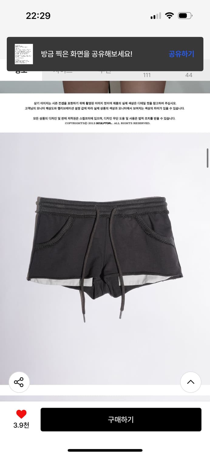 Bad Seed Shorts Charcoal 상품이미지3