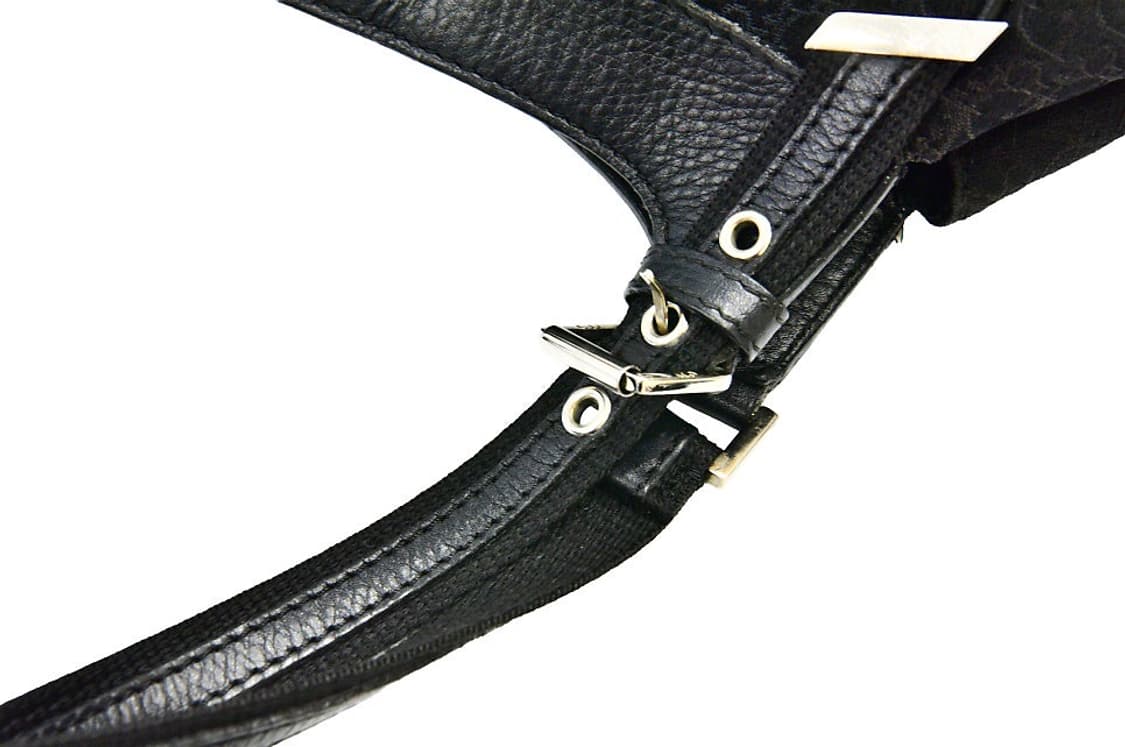 디올 오블리크 디올리시모 캔버스 숄더백(정품) 상품이미지8