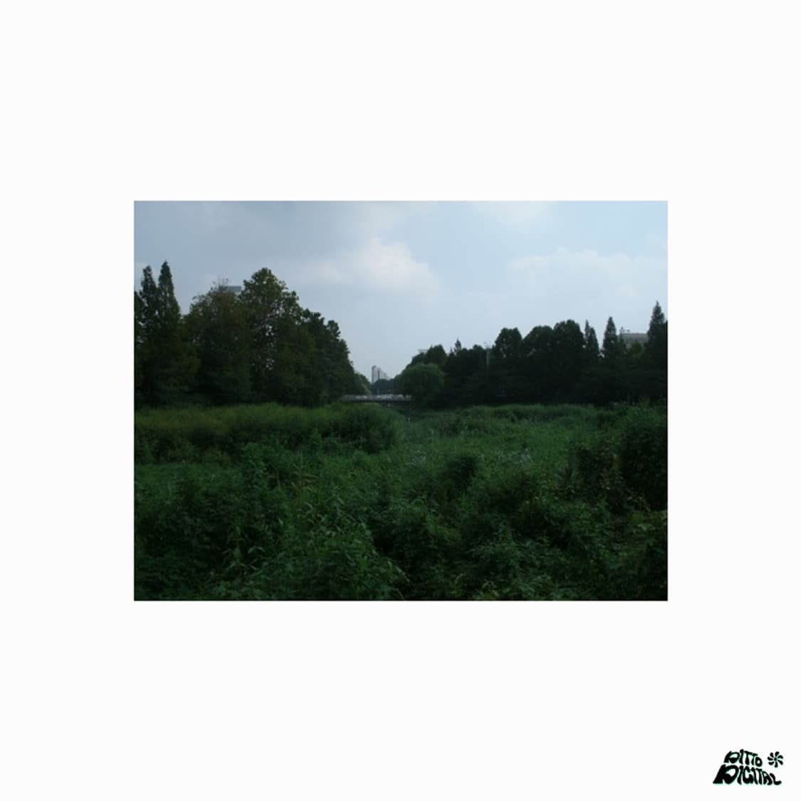 GE A835디카 상품이미지5