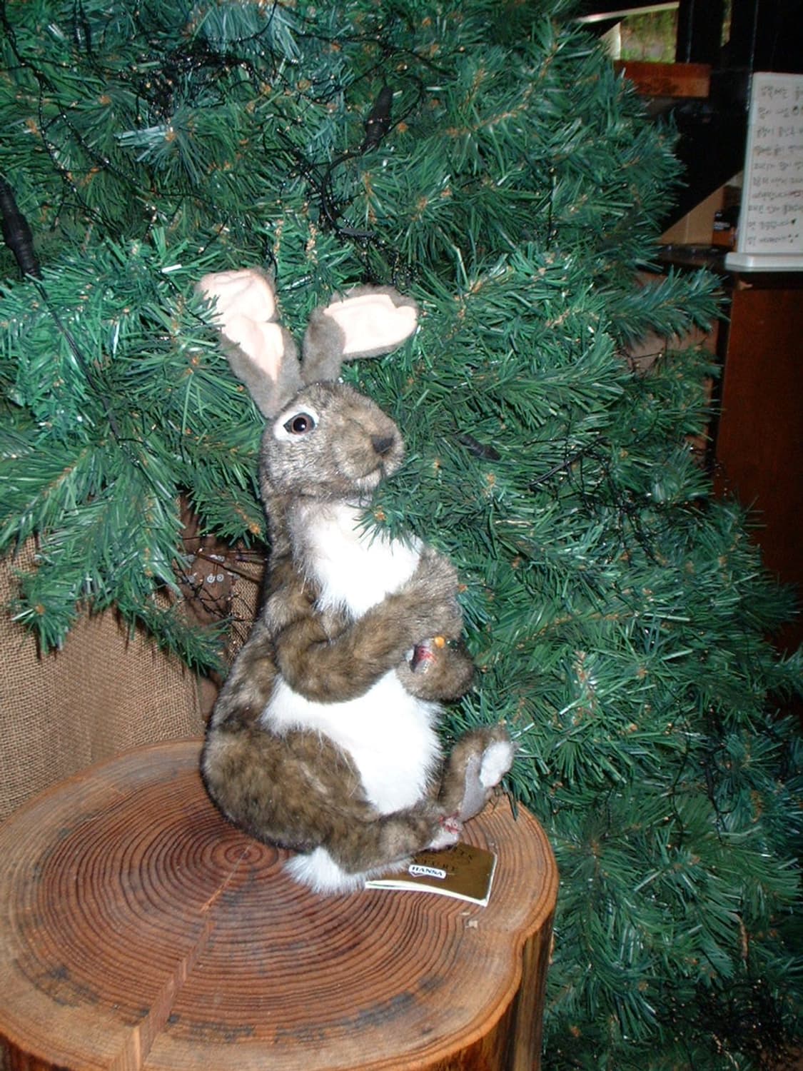 셔터만 누르세요! 후지필름 파인픽스 a201 상품이미지5