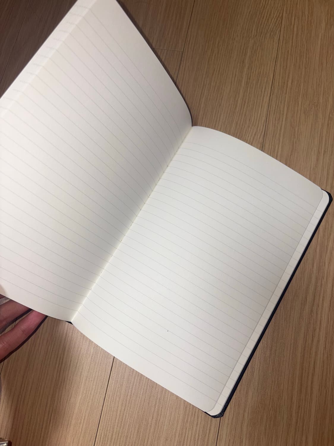 미스치프 다이어리 상품이미지3