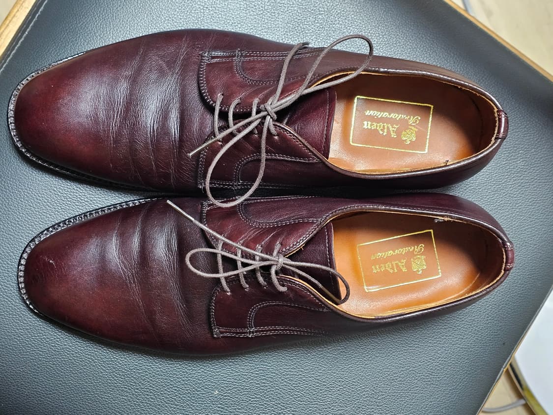 Alden PTB 알든 플레인토 베리라스트 카프스킨 상품이미지3