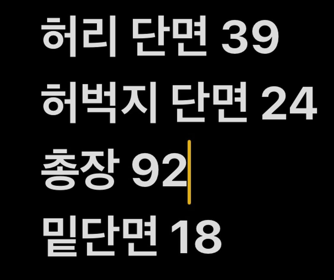 [ 정품/81 ] 노스페이스 카고 팬츠 b15 상품이미지7