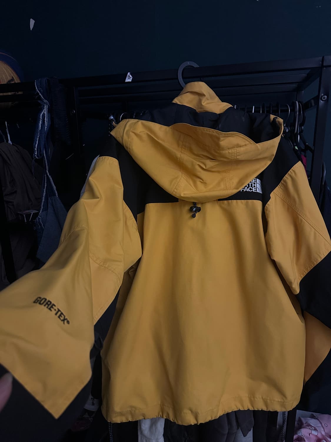 THE NORTH FACE 고어택스 바람막이 상품이미지3