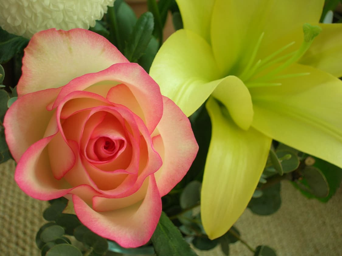 할인끝남 [준민크급]니콘 쿨픽스 5600🎀 빈티지 디카 / 작례✅ 상품이미지9