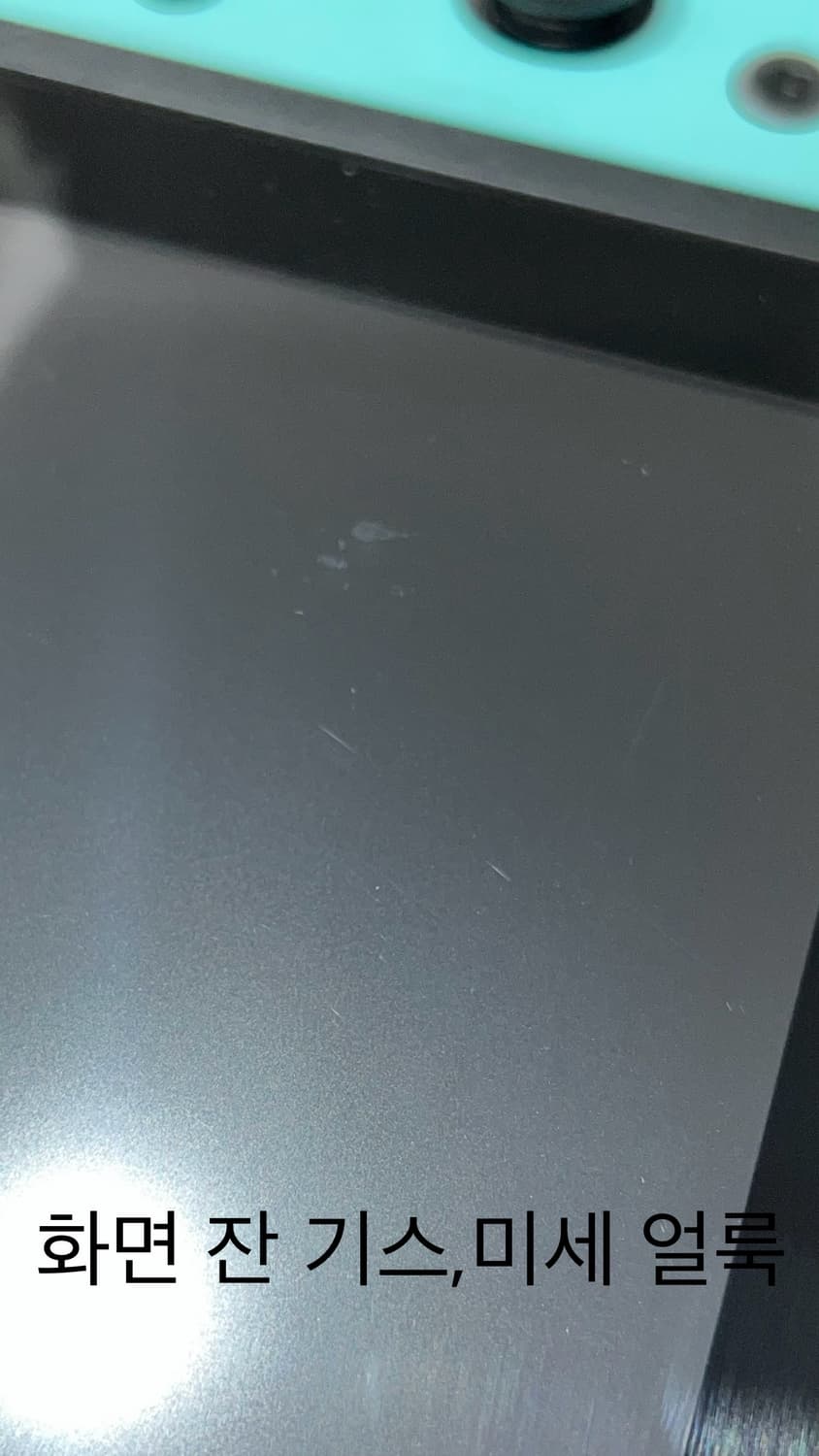 닌텐도 스위치 모동숲 에디션 동물의숲 아미보카드 게임칩 포함 상품이미지4