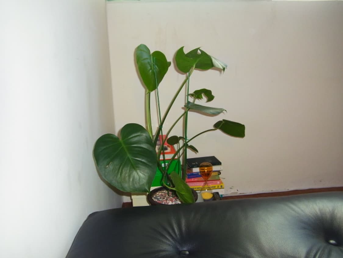 RICOH px 상품이미지8