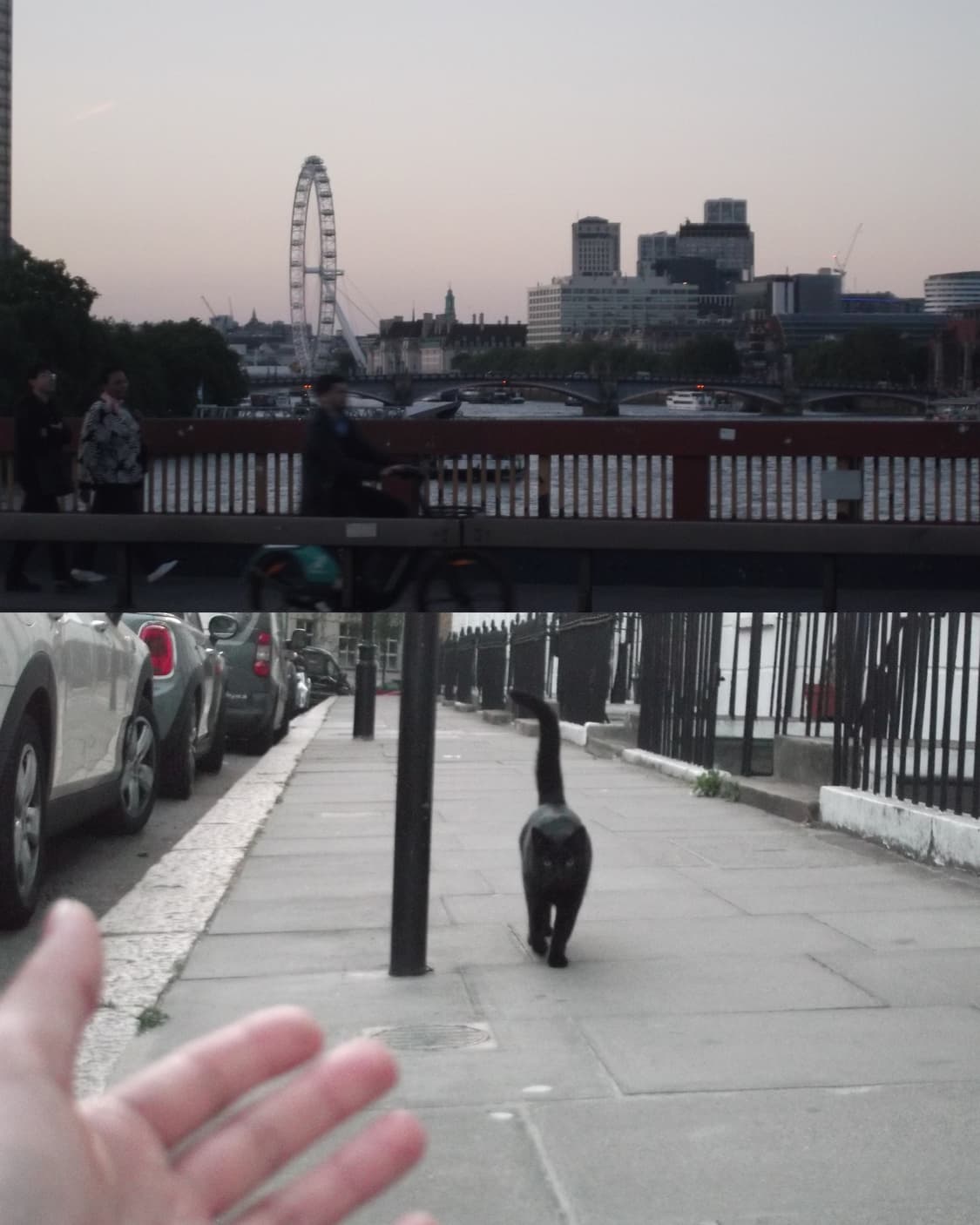 Fujifilm FinePix L55 상품이미지3