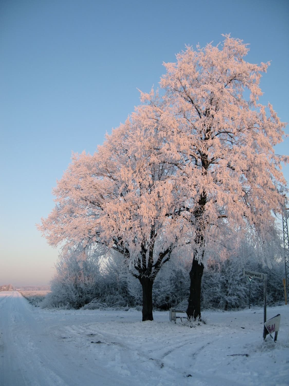 📸 캐논 익시 600( IXUS 700) 💕
👉 클래식 CCD 감성 상품이미지9