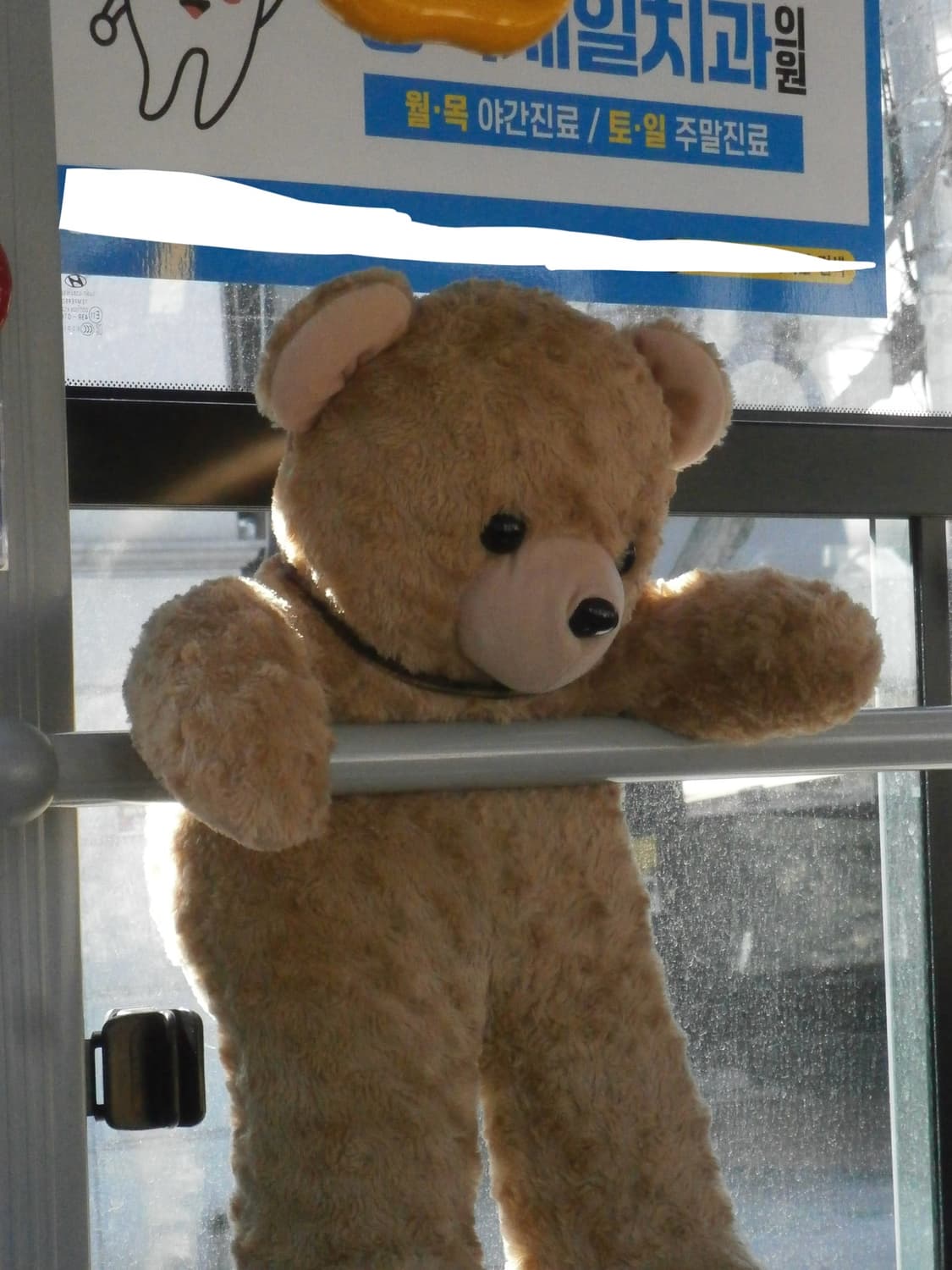 올림푸스 VH210 핑크 (소프트 포커스/작례O) 상품이미지4