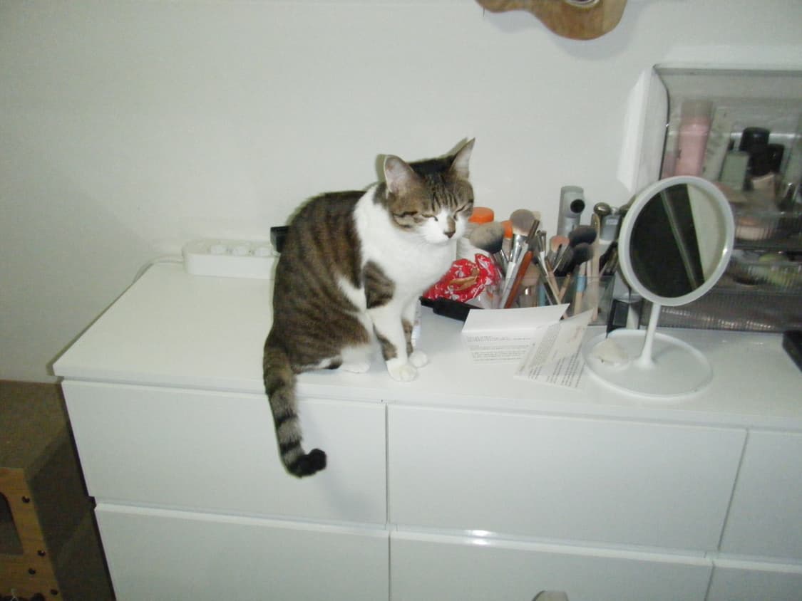 작례👌🏻뽀용🫧초희귀!) 삼성 갤럭시 zoom4 상품이미지3