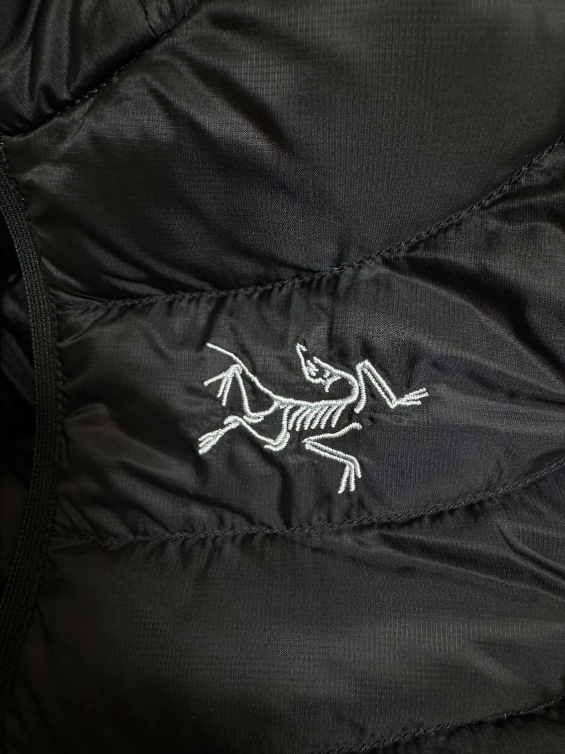 아크테릭스 세륨LT후디 정품 상품이미지4