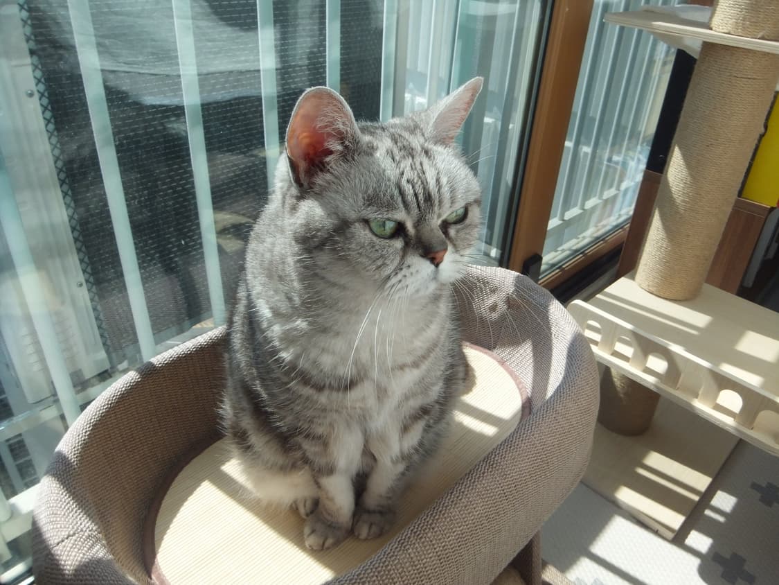 후지필름 파인픽스 Z950EXR 상품이미지5