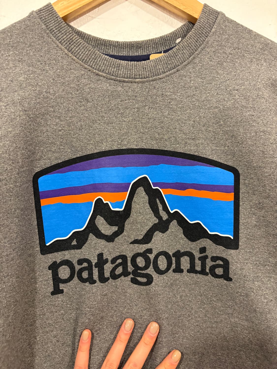 파타고니아 맨투맨 상품이미지2