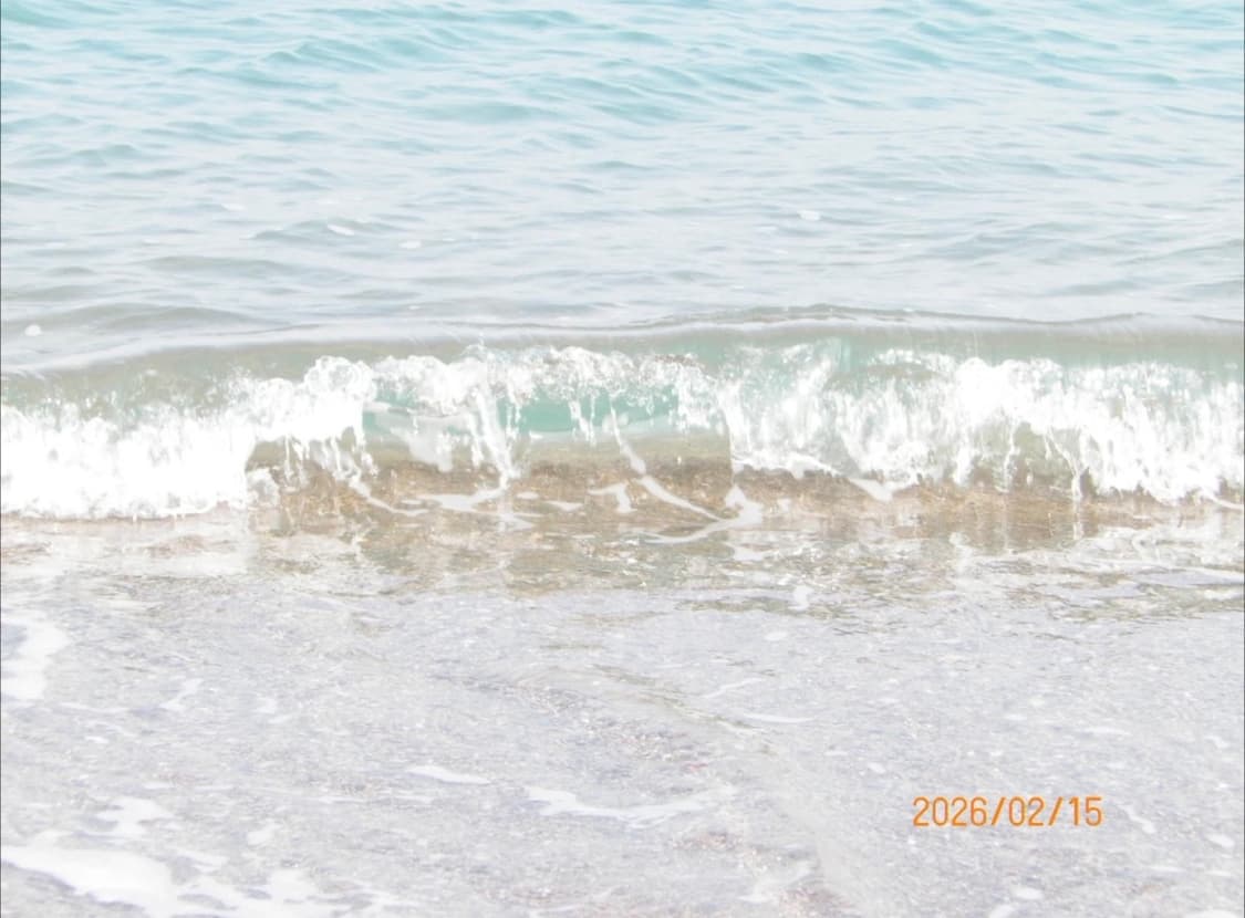 삼성 VLUU-PL170 한효주디카 빈티지디카 상품이미지4