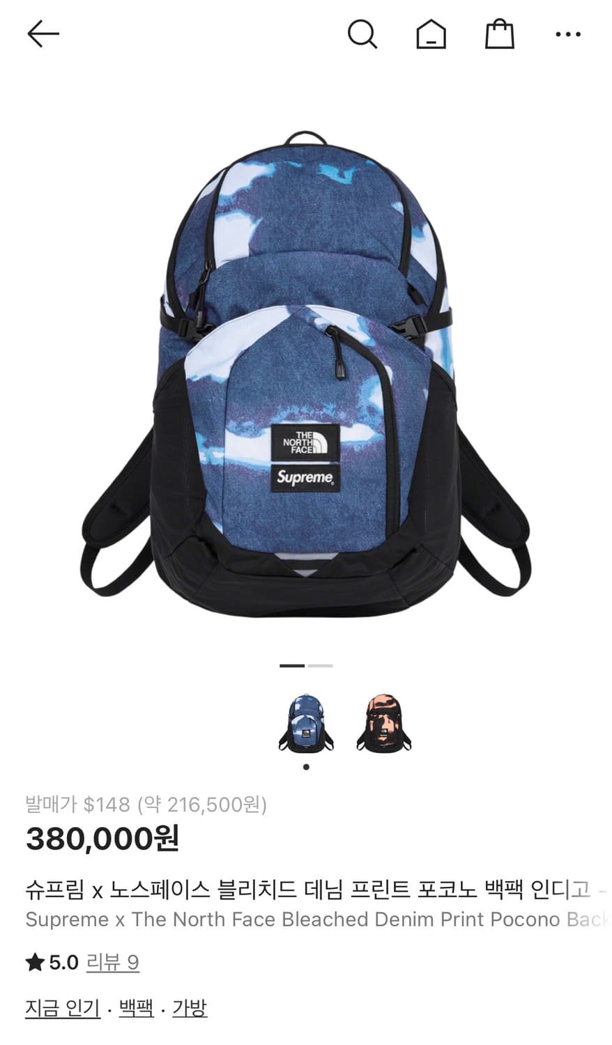 슈프림 x 노스페이스 백팩 인디고(블루) 상품이미지2