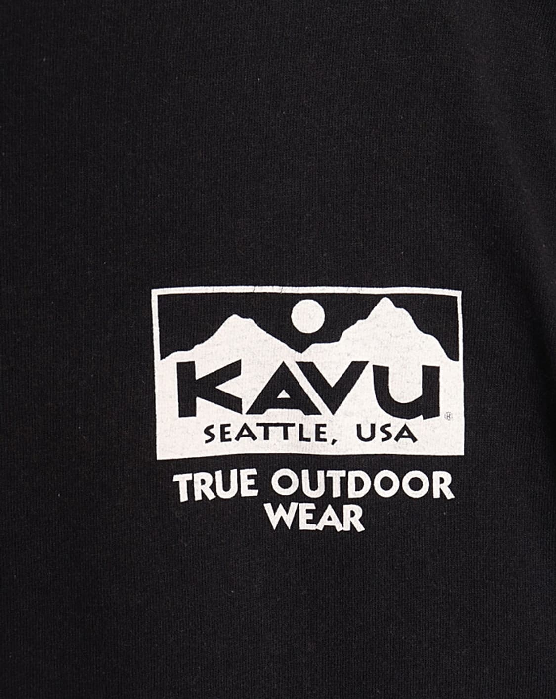 KAVU Gildan Print T-Shirts 상품이미지2