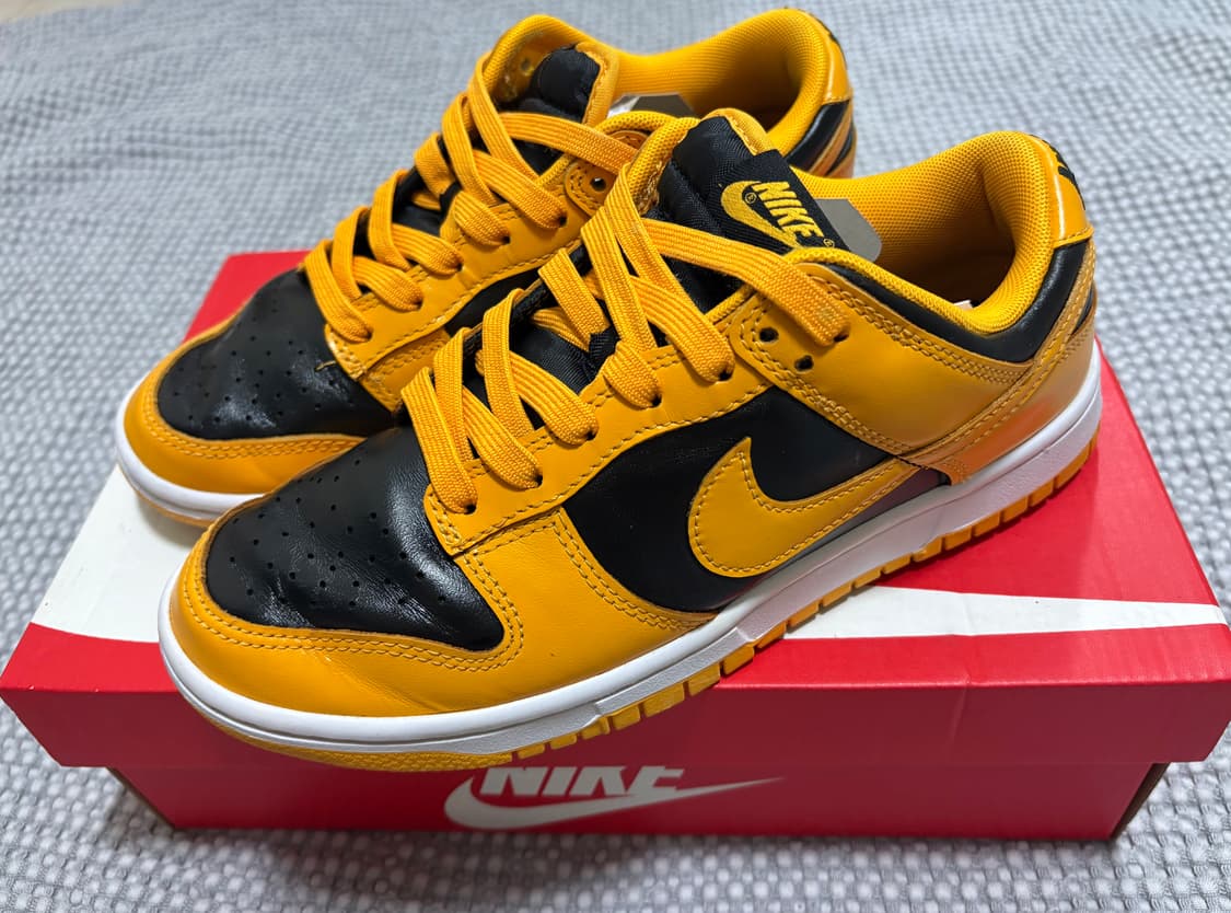 나이키 덩크 로우 레트로 챔피언쉽 골든로드 250 상품이미지2