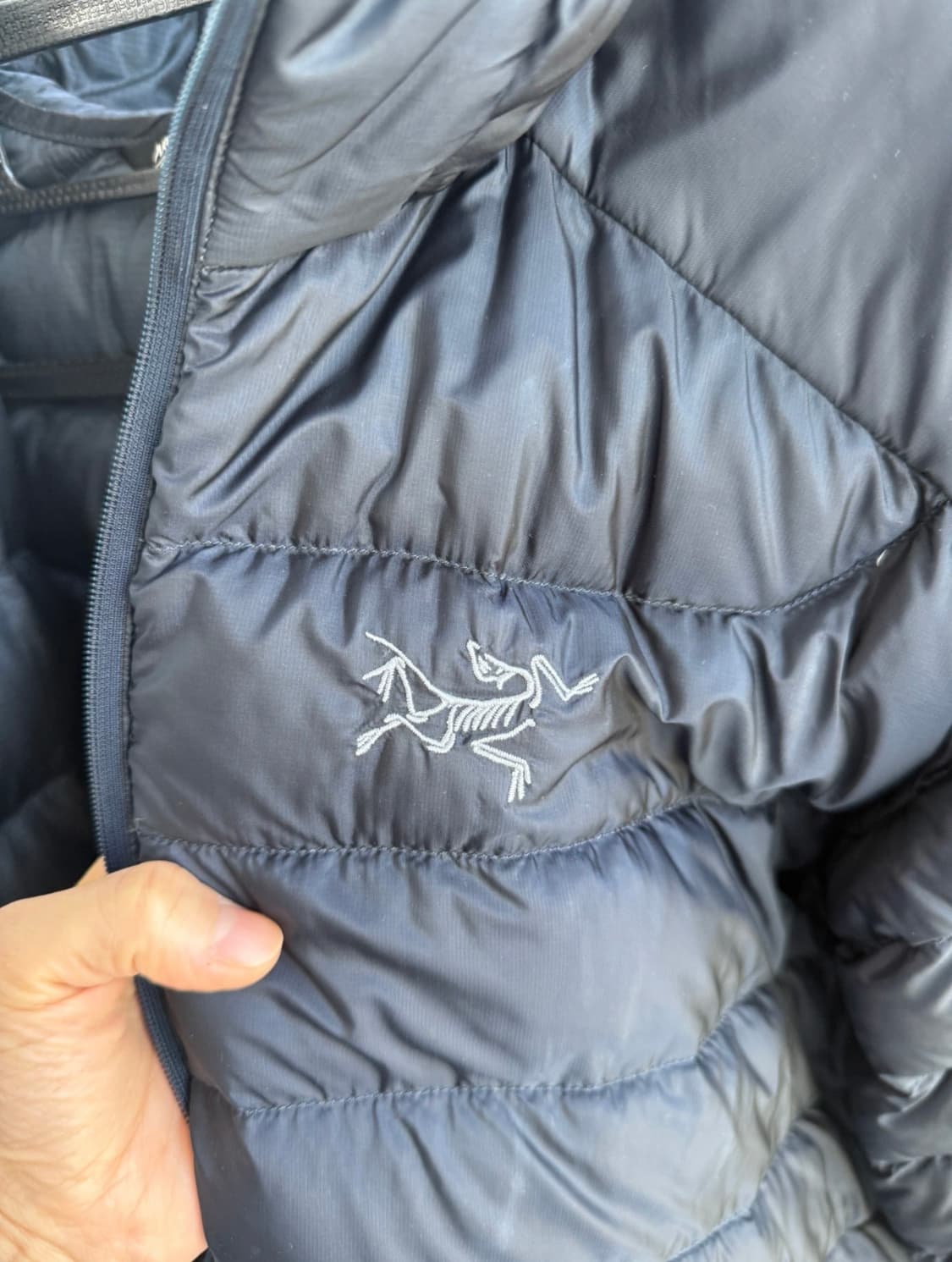 아크테릭스 세륨 블랙사파이어 L 상품이미지4