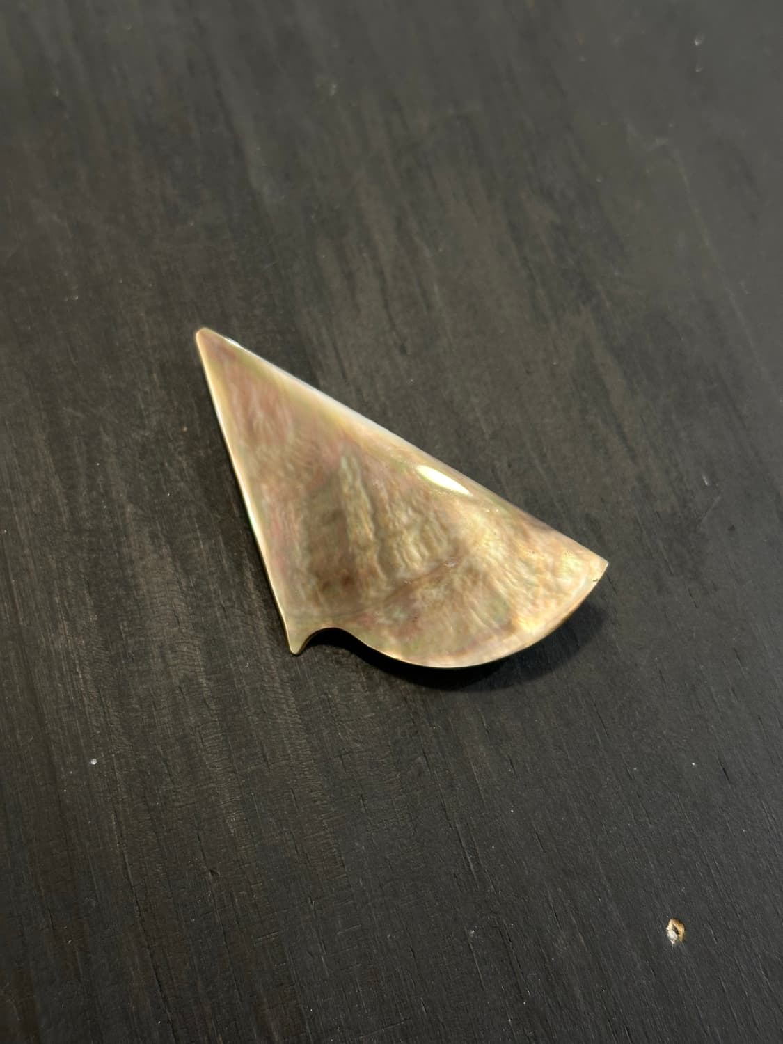 Shell Brooch 상품이미지3