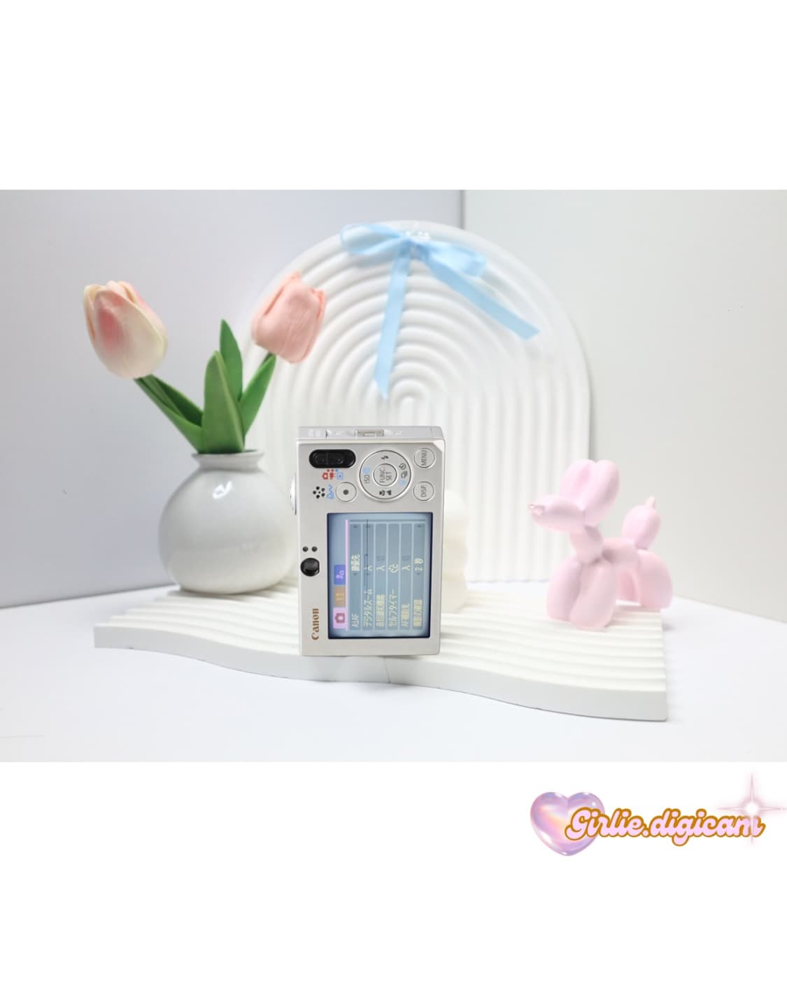 *인프루언서디카*캐논 익서스 70/ 익시 10 필름색감 끝판왕(직접체험) 상품이미지3