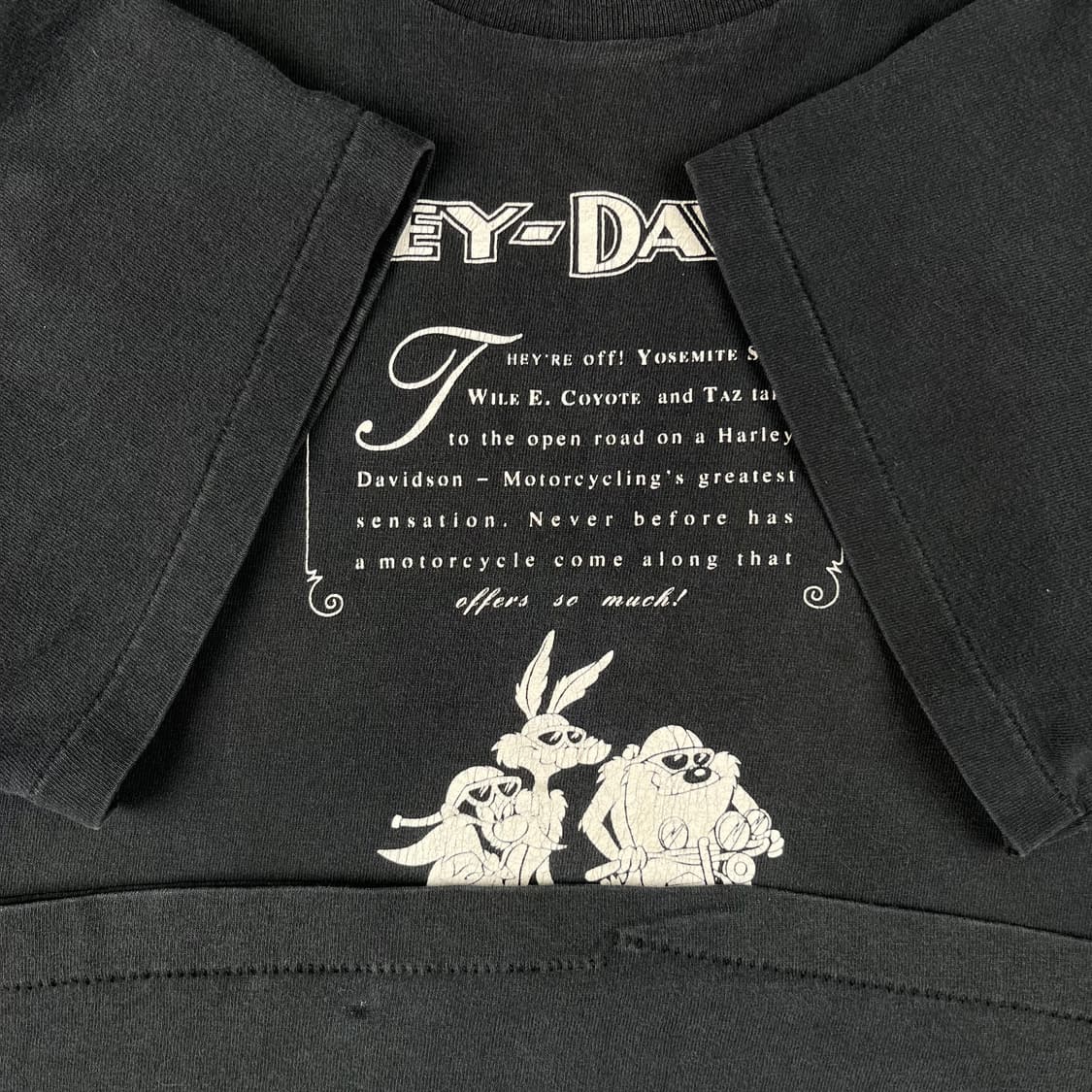 빈티지 할리데이비슨 x 워너브로스 Circle the World 반팔티 상품이미지6