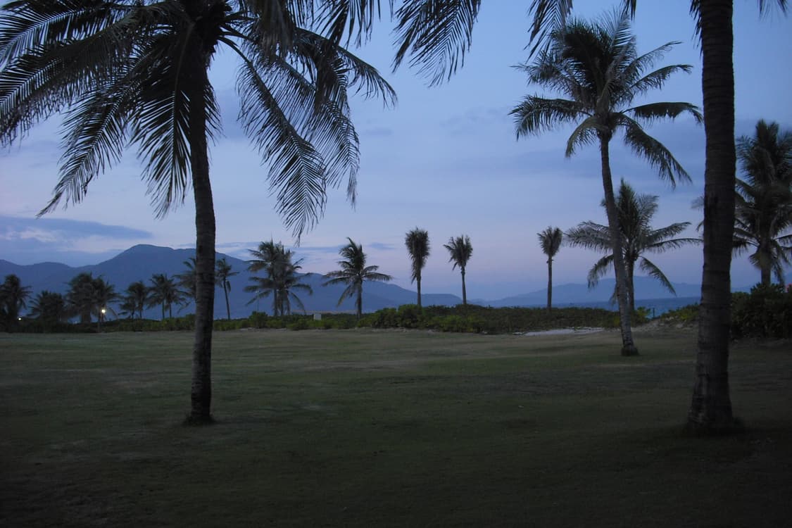 카시오 엑슬림 EX-Z9 작례⭕️ (Casio EXILIM EX-Z9) 상품이미지6