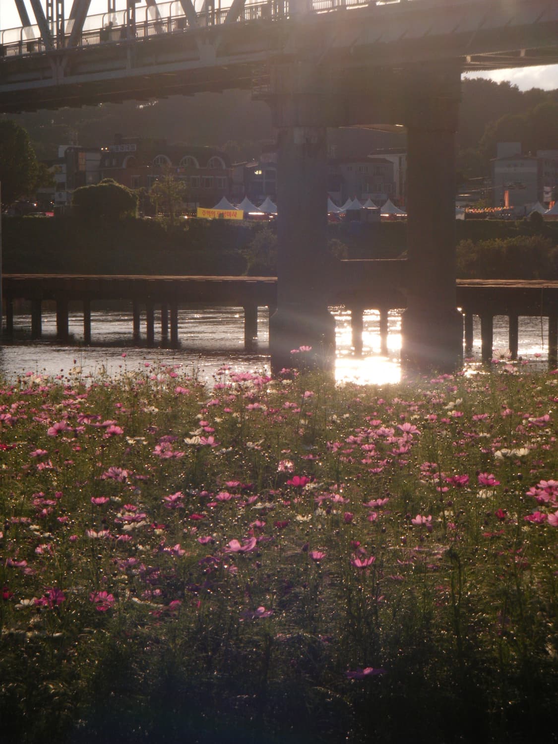 후지필름 파인픽스z30 상품이미지3