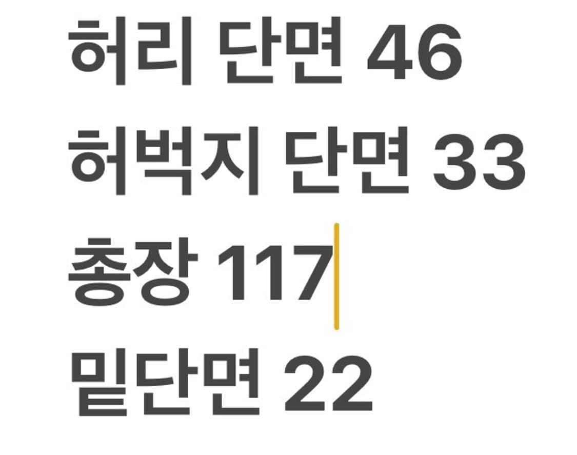 [정품/36] 트루릴리젼 데님팬츠 b18 상품이미지7