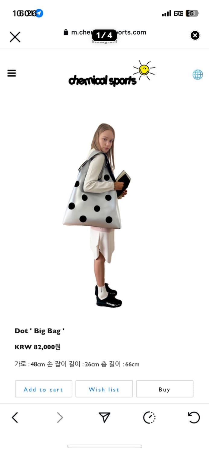케미컬스포츠 도트 빅백 상품이미지1