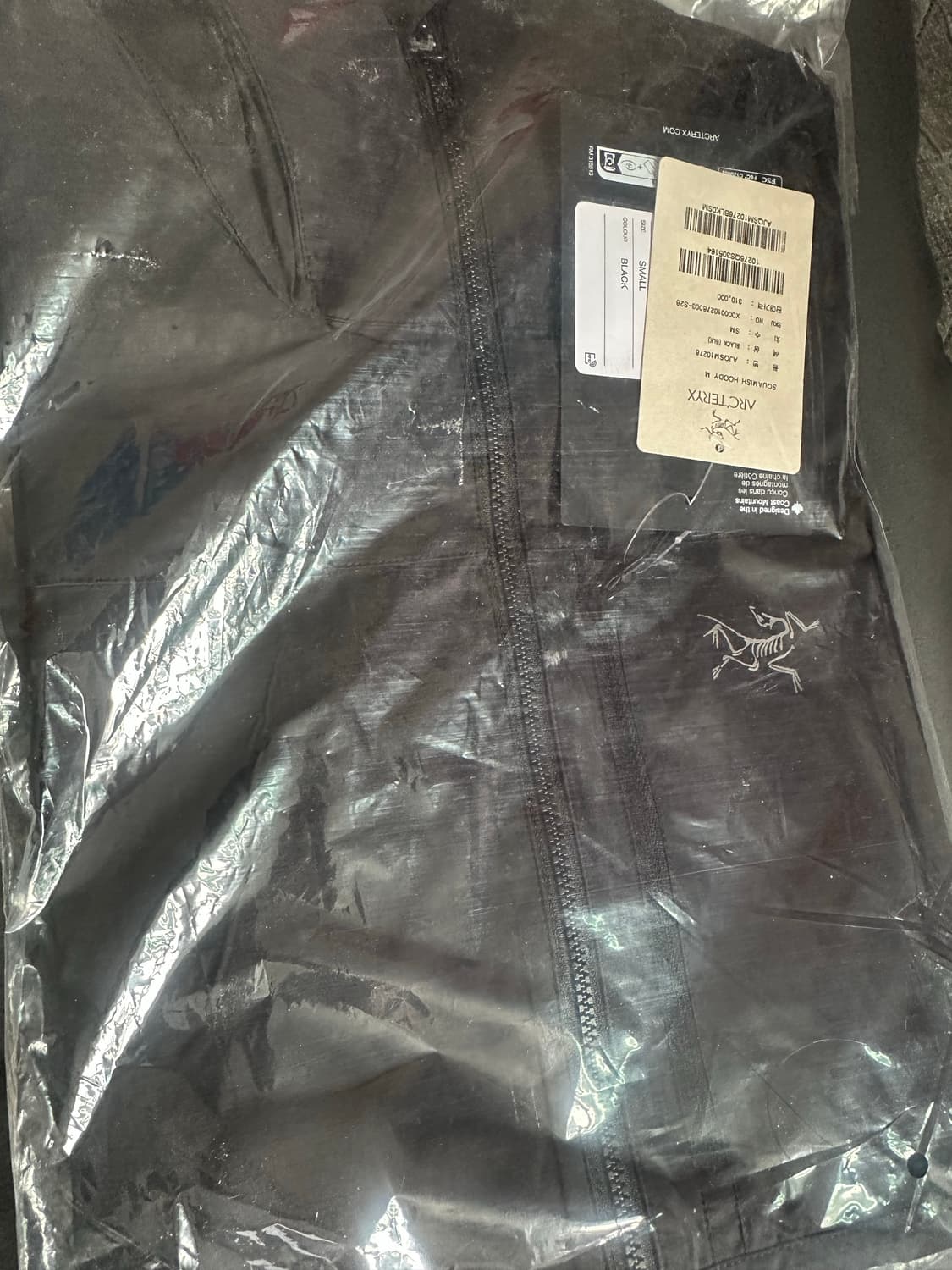 아크테릭스 스쿼미시 후디 블랙 상품이미지2