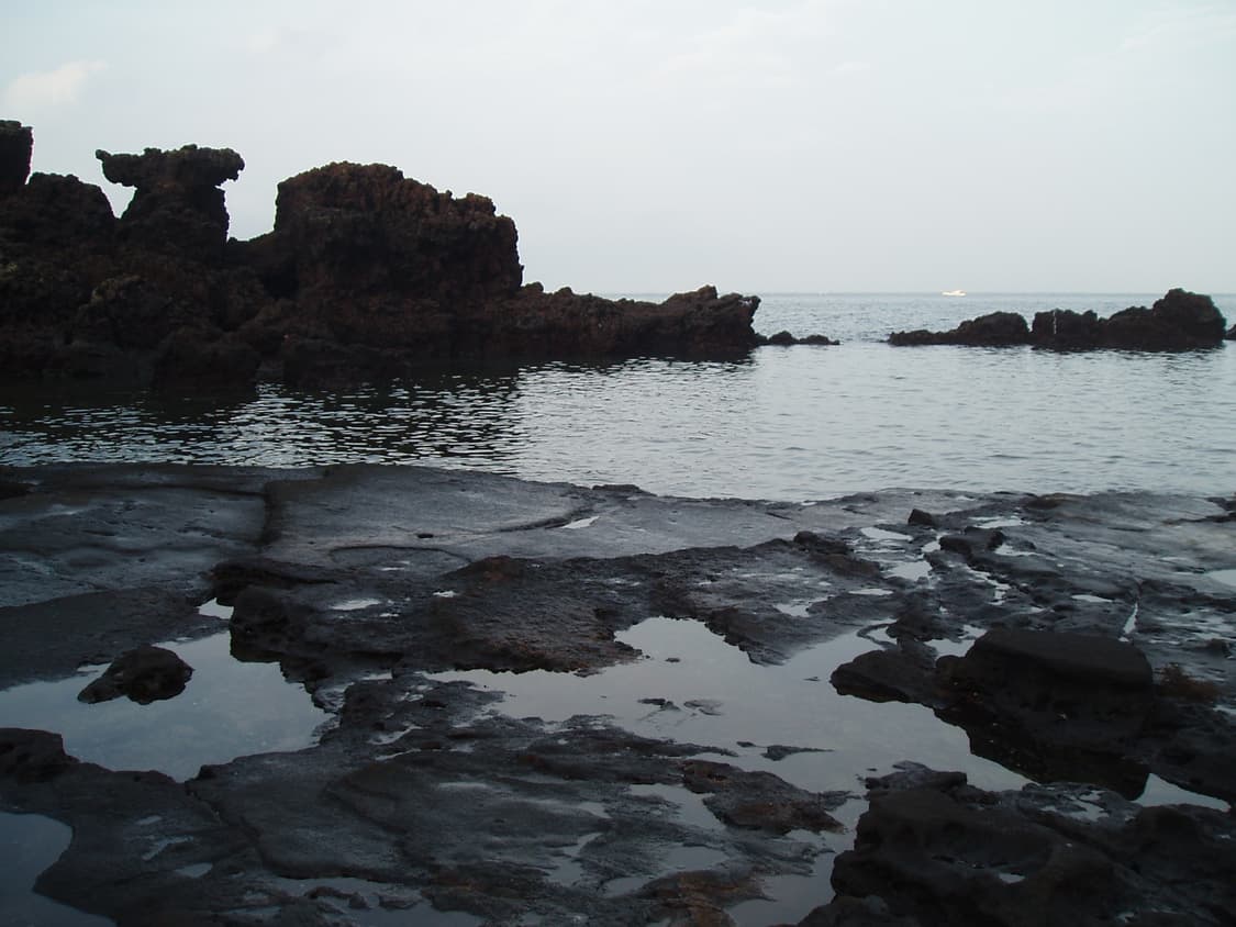 Olympus 올림푸스 뮤 410 디지털 상품이미지8