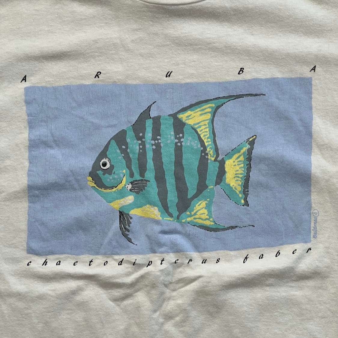 90s Vintage Hanes Beefy-T Aruba 상품이미지2