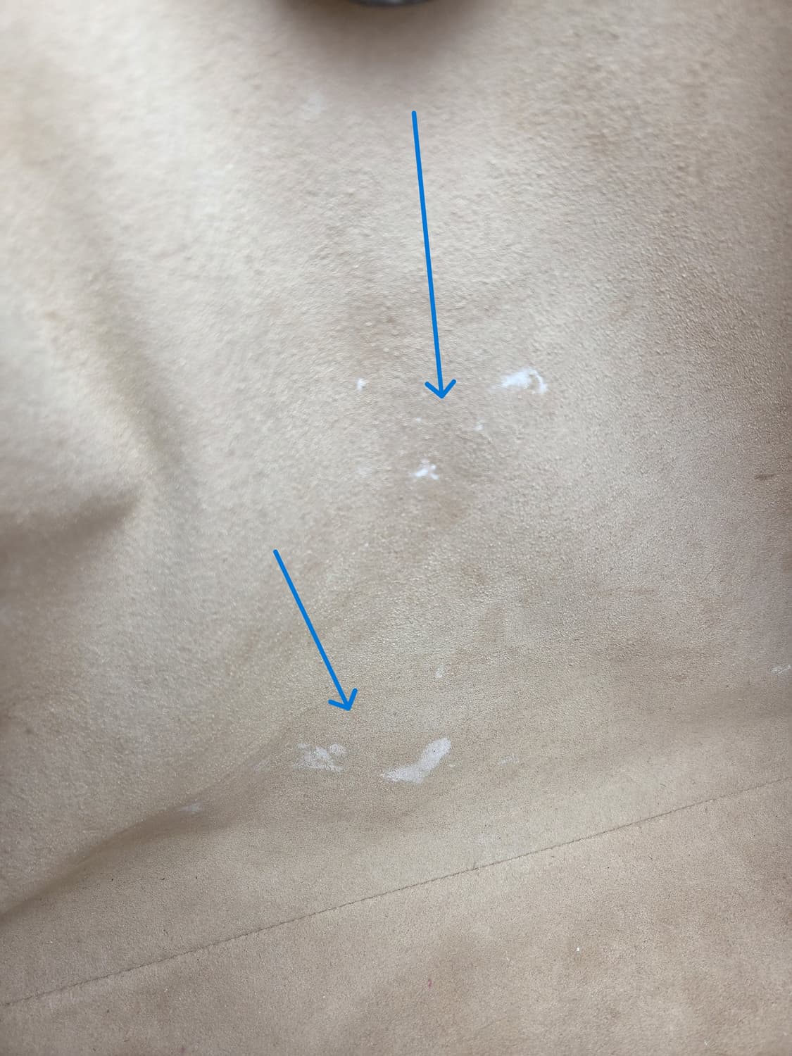 구찌 GG 타이거 헤드 라자 숄더 537219 상품이미지6