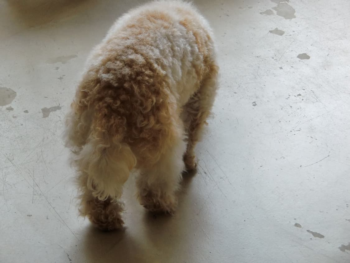 CASIO EXILIM EX-H10 상품이미지8