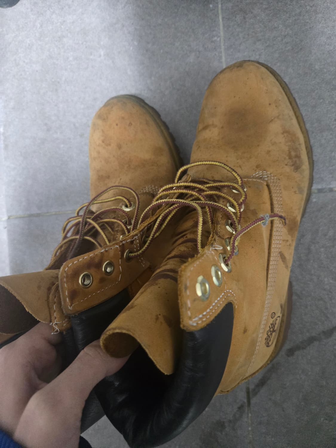 팀버랜드 프리미엄 6인치 255 상품이미지3