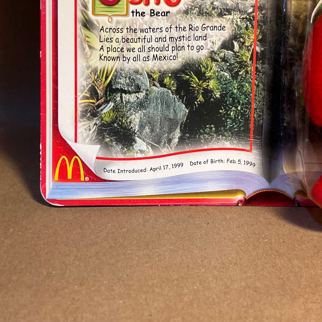 Ty베어 Osito the Bear 상품이미지3